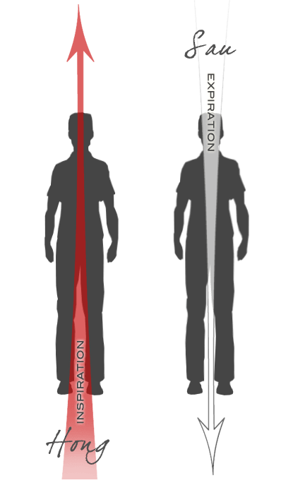 Schéma Respiration Hong-Sau