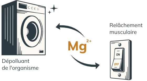 Magnesium double role Bouton ON-OFF & depolluant